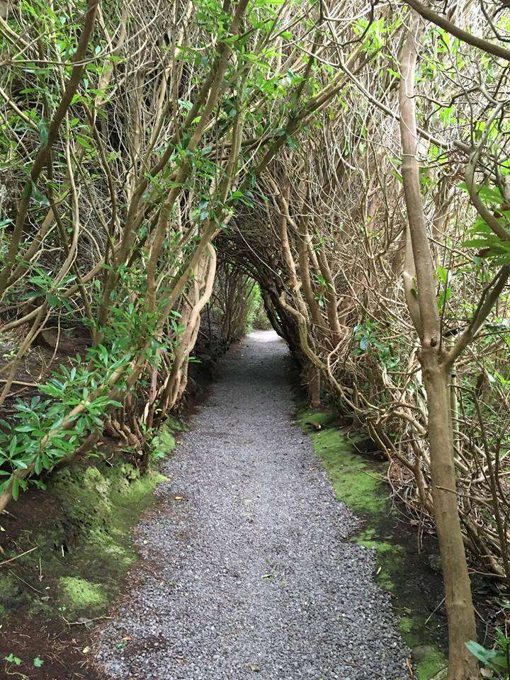 Carrig Country House & Restaurant Killorglin Comodidades foto